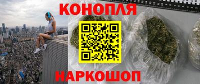 гашик Дубна