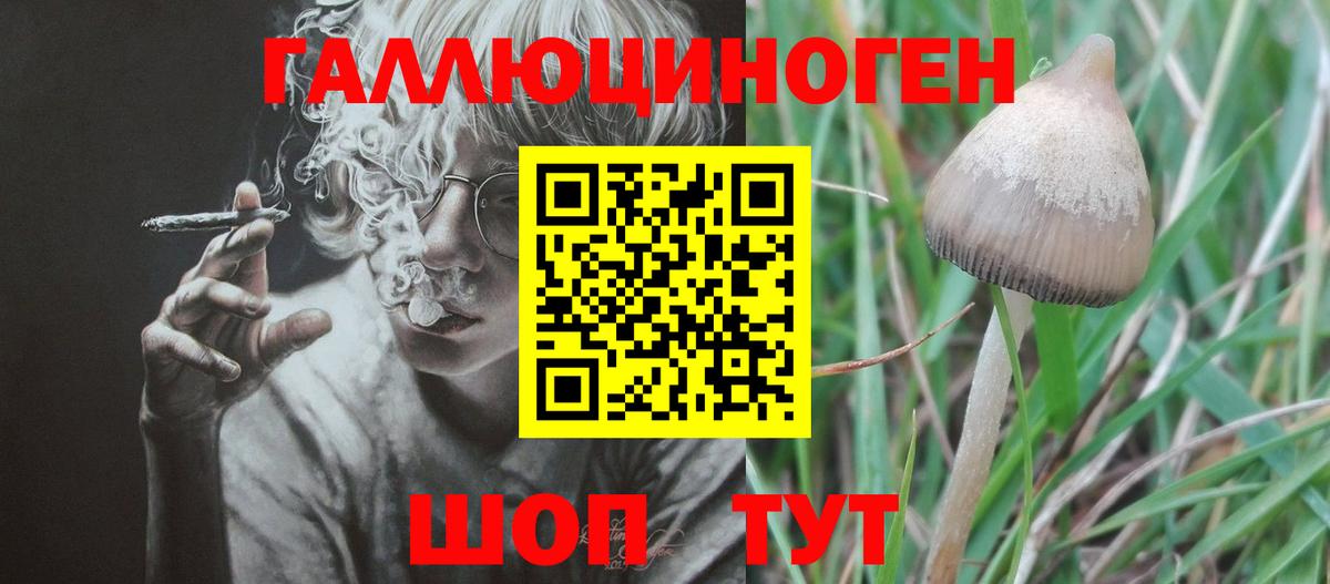 Псилоцибиновые грибы MAGIC MUSHROOMS  Вход с VPN  Галлюциногенные грибы Psilocybine cubensis  Кохма 